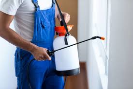 Best Fumigation Services  in Stonewall, LA